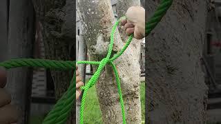 Genius Knot
