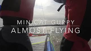 Minicat Guppy - flying