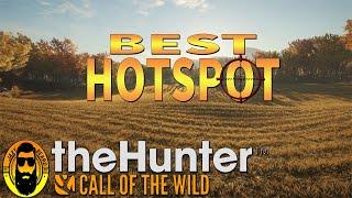 Best HOTSPOT Golden Tree Stand Hirschfelden in thehunter Call of the Wild! Fast Money and Experience