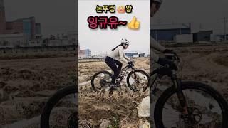 논뚜렁 왕  잉규유~~~  논뚜렁에는 내가 왕이유~ #MTB #잉규유 #서산 #잠홍리 #시골집