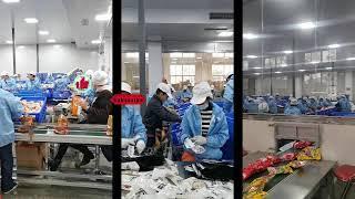 LIVE: Asian Street Foods & Food Factory Processing 24/7 365 LIVE