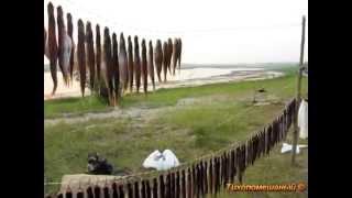 Рыбалка в Сибири. 2012г. Часть 6/8. Fishing in Siberia.