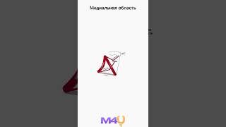 Медиальная область шеи 1 часть #medical #anatomy #анатомия #студентмедик