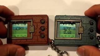 #2 Digimon Tamagotchi Battle (Greymon Vs Numemon)