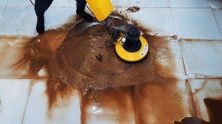 Rescue the fox from the muddy rug | rug cleaning asmr