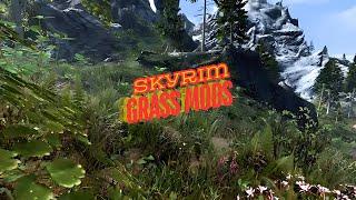 Skyrim Special Edition: BEST GRASS MODS for Xbox