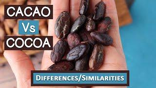 Cacao Vs Cocoa, Top 6 Differences and Similarities