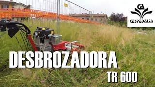 Desbrozadora De Martillo TR 600 Meccanica Benassi ️ Cespedalia