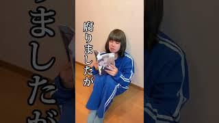 「めっっっ。」腐女子ver.#shorts #替え歌 #ネタ動画