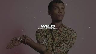 [FREE] Stromae Type Beat - "WILD" | French House Type Beat 2020