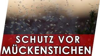 Stechmücken schnell loswerden | Mücken vertreiben | Abwehr Tipps & Tricks