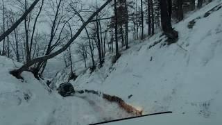 Барсучий овраг зимой. Badger ravine in the winter.