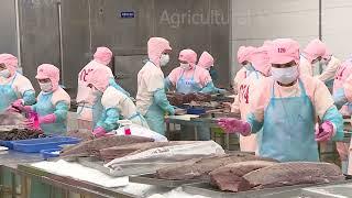 Exporting processed seafood | agricultural knowledge