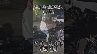 인천 동생들 팀 머니 할리 할리 곳 형이 벼쌔한다. 황회장 ㅋㅋ