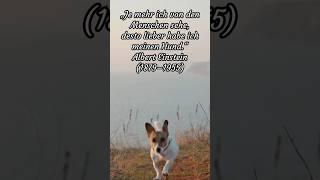 Hunde-Zitat Einstein #hunde #hund #liebe #einstein #zitate #hundeliebe #hunde  #tiere #loyalität