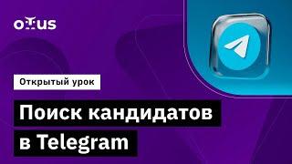 Поиск кандидатов в Telegram // Демо-занятие курса «IT-Recruiter»