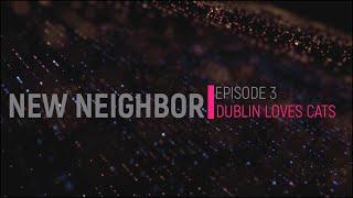 New Neighbor | Episode 3 by Dublin Loves Cats