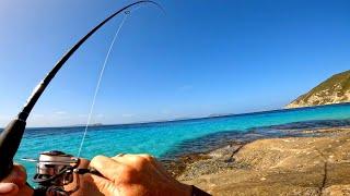 Squid and King George Whiting Catch and Cook