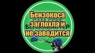 Бензокоса "Expert". Ремонт бензокосы .