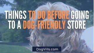 Things to consider before bringing your dog to a store