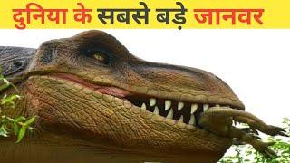 दुनिया के 10 सबसे बड़े जनवर! Top 10 big Animals of the world 