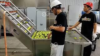 Industrial Apple Juice Production Line, Apple Juice Processing Plant