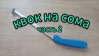 Квок на сома часть 2