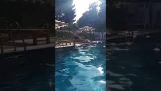 Дилшод очень крутое