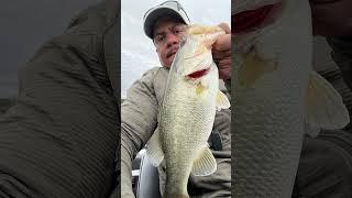 Find the grass, find the bass! Stillhouse Lake, TX Feb 27, 2025