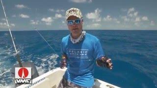 IFISH with Tackle World Australia & VMC Hooks