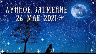 ЛУННОЕ ЗАТМЕНИЕ  в СТРЕЛЬЦЕ  26 МАЯ 2021 года - КАК СТАТЬ НЕПОБЕДИМЫМ  | ТАРО ПРОГНОЗ