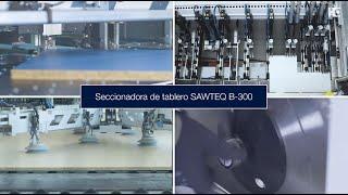 Seccionadora de tablero SAWTEQ B-300