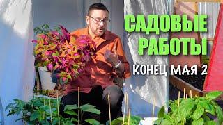 Люсю укусили  фузариоз прощай  новинка для кашпо  популярные гортензии  картошка от Редкэп ⭐