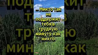 Кто поддержит?... 