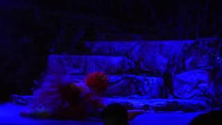 Amity High School Presents Tarzan the Stage Musical