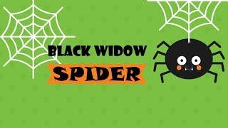 Black Widow Spider - поиск брошенных доменов