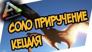 Ark: Survival Evolved - Как приручить Кетцаля (Quetzal) с помощью другого кетцаля в соло!