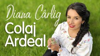 Diana Cârlig -  Colaj Ardeal - Drumul Gării din Beclean