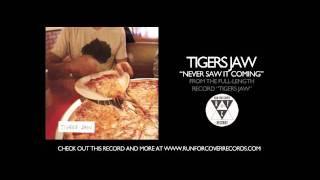 Tigers Jaw - Never Saw It Coming (Official Audio)