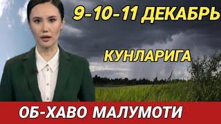 9-10-11 ДЕКАБРЬ КУНЛАРИ УЧУН ОБ ХАВО МАЛУМОТИ, ob havo.