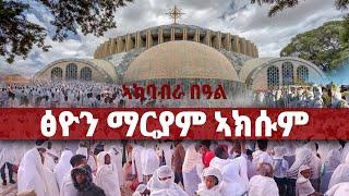 DW International ኣከባብራ በዓል ማርያም ፅዮን ኣብ ኣክሱም  ፣ 21 ሕዳር 2017 ዓ/ም\watch Live Streaming