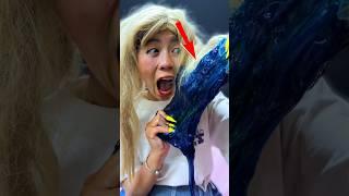 ToRung comedy: smart cat