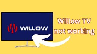 How to fix Willow TV not working