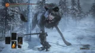 Ashes of Ariandel Review (Dark Souls 3 DLC)