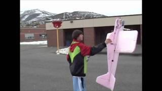 Huge Pink YAK-54 Foamy RC Plane