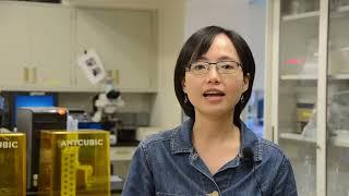 SAFL's Judy Yang and the Environmental Transport Lab