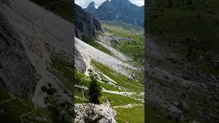 Monte Averau - A lonely tree..