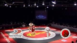 2010 WKO World Kumite Championships Middleweight First Fight Level 3