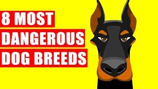 8 Most Dangerous Dog Breeds Ever Existed