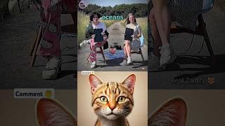 dangerous game  #cat #meme #dance #trending